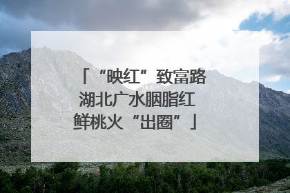 “映红”致富路 湖北广水胭脂红鲜桃火“出圈”